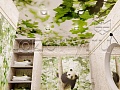 Потолочная панель ПВХ Панда Листья (рисунок 2)