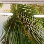 Плинтус для панелей ПВХ Карниз Греческий стиль белоснежный