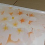 Потолочная панель ПВХ Панда Сакура (добор)