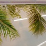 Плинтус для панелей ПВХ Карниз Греческий стиль розовый (3 м)
